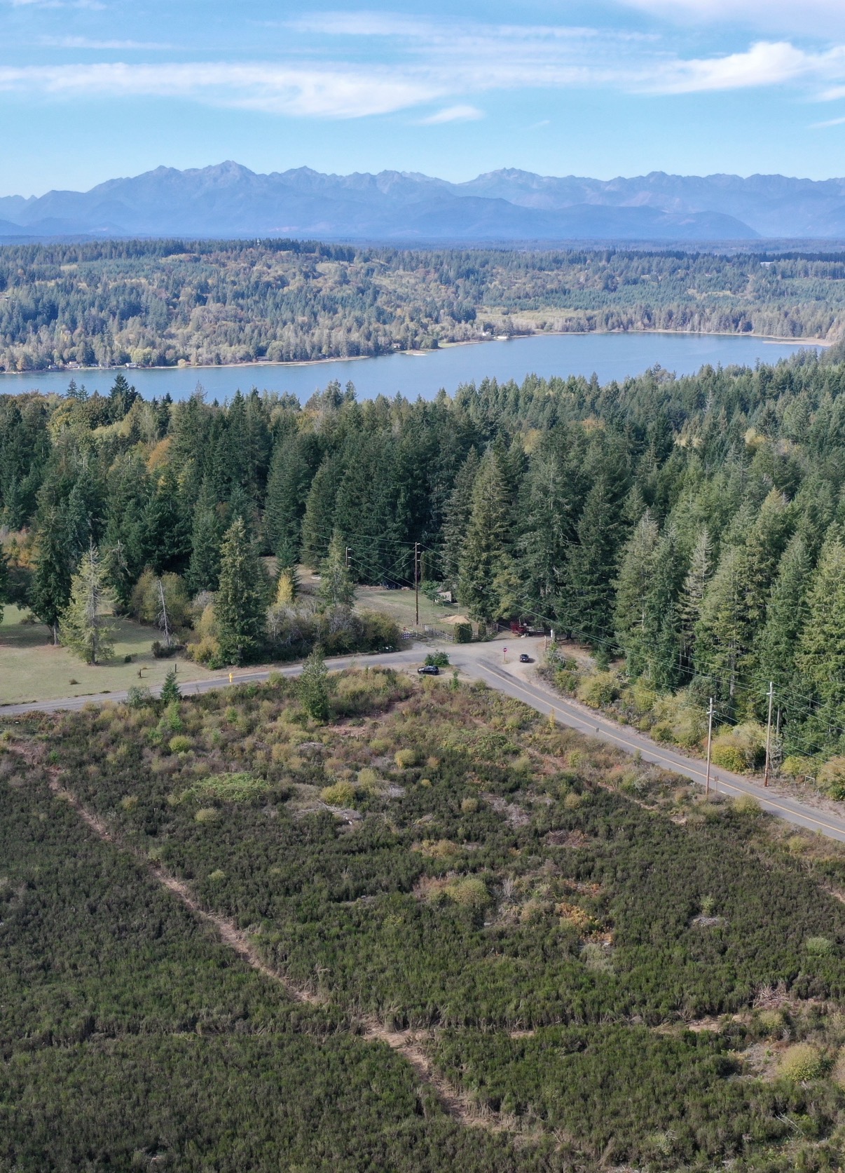 Aerial view of the farm land, surrounding evergreens, Puget Sound water, and distant mountains